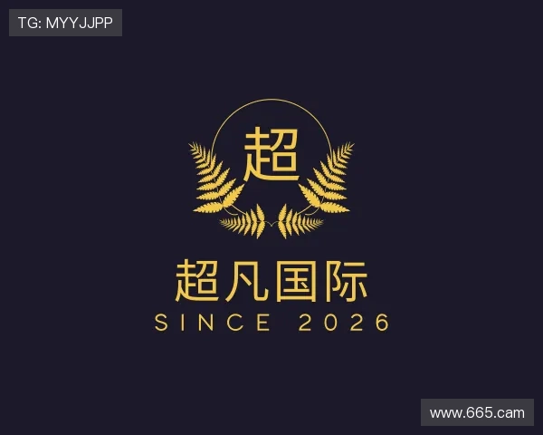了解超凡国际
